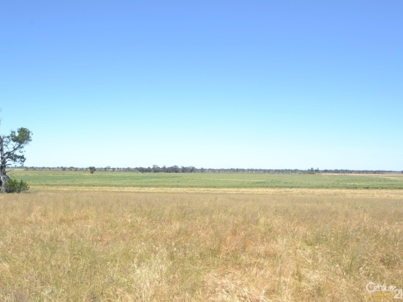 480 ‘Gardenvale’ RMB 480 Bunnaloo Via, Moama NSW 2731