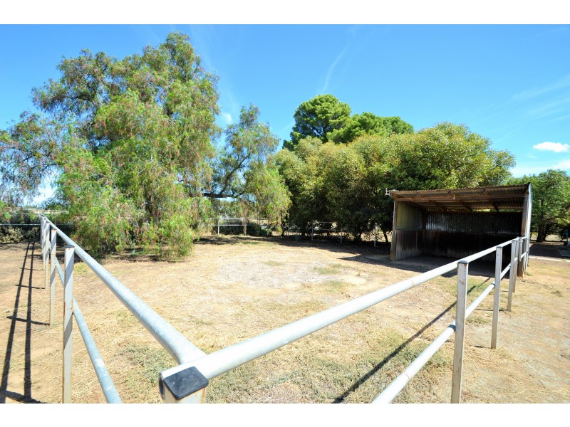 9006 Murray Valley Hwy, Echuca VIC 3564