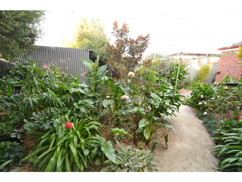 16 James Street, Echuca VIC 3564