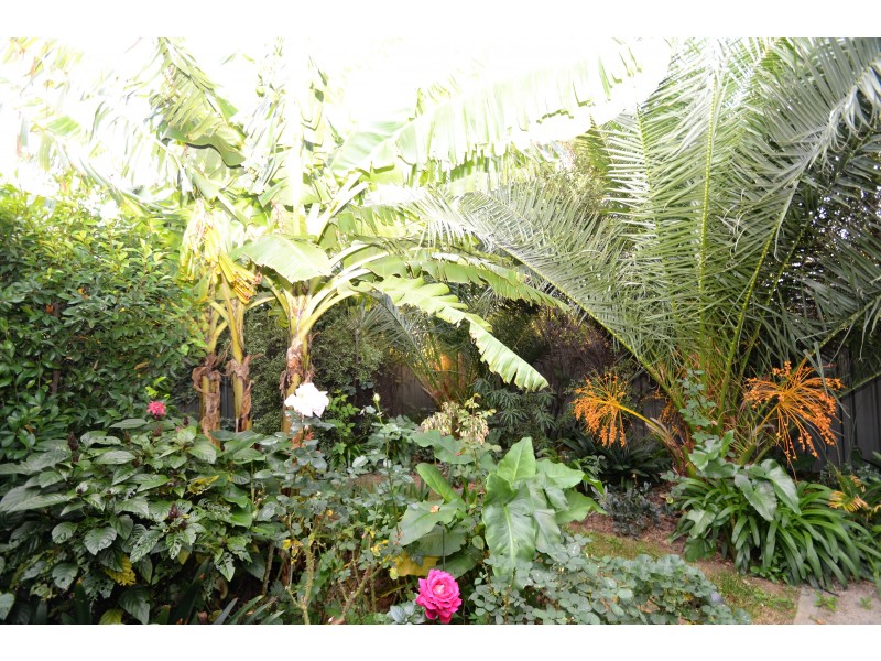 16 James Street, Echuca VIC 3564