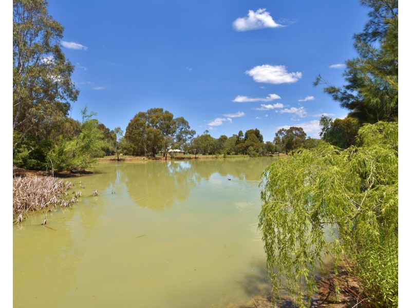 54 River View Court, Echuca VIC 3564