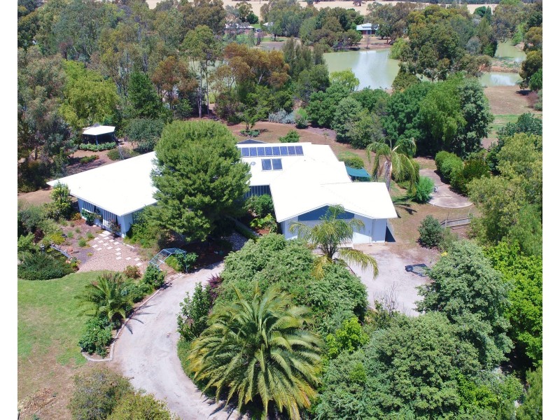 54 River View Court, Echuca VIC 3564