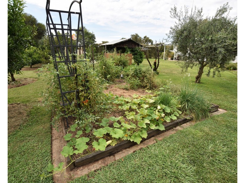 353 Brown Road, Echuca VIC 3564