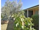 67 Woodlands Circuit, Echuca VIC 3564