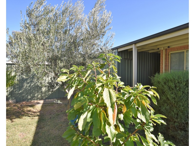 67 Woodlands Circuit, Echuca VIC 3564