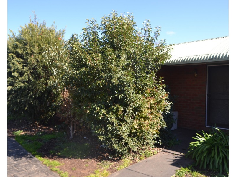 9/40 Regent Street, Moama NSW 2731