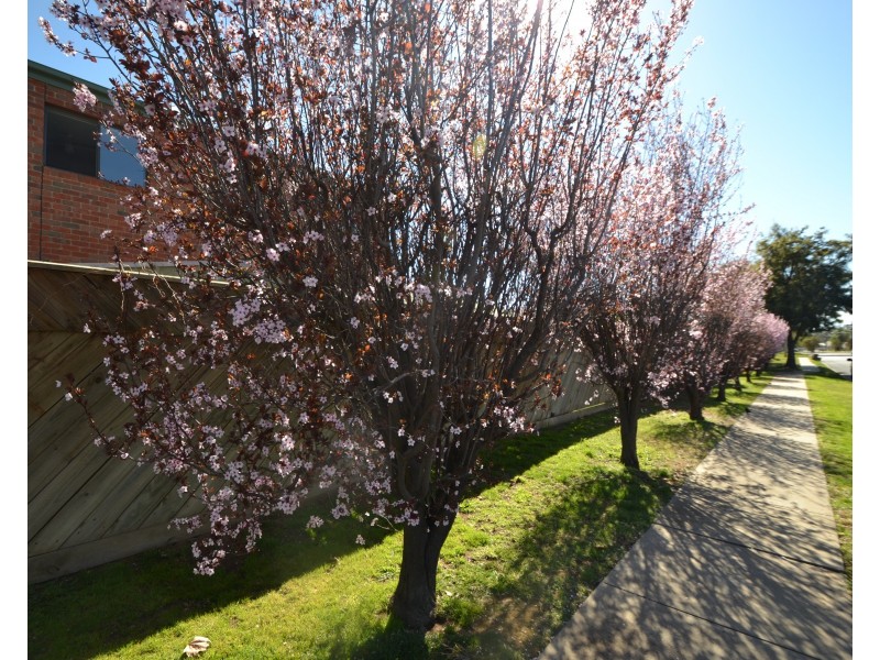 9/40 Regent Street, Moama NSW 2731