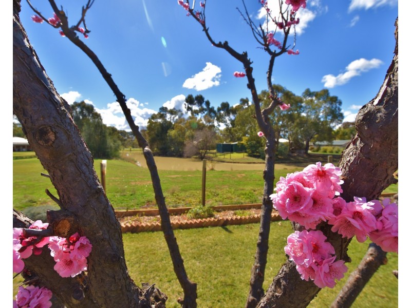 13 Kingfisher Drive West, Moama NSW 2731