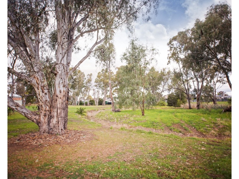 16 North Street, Echuca VIC 3564