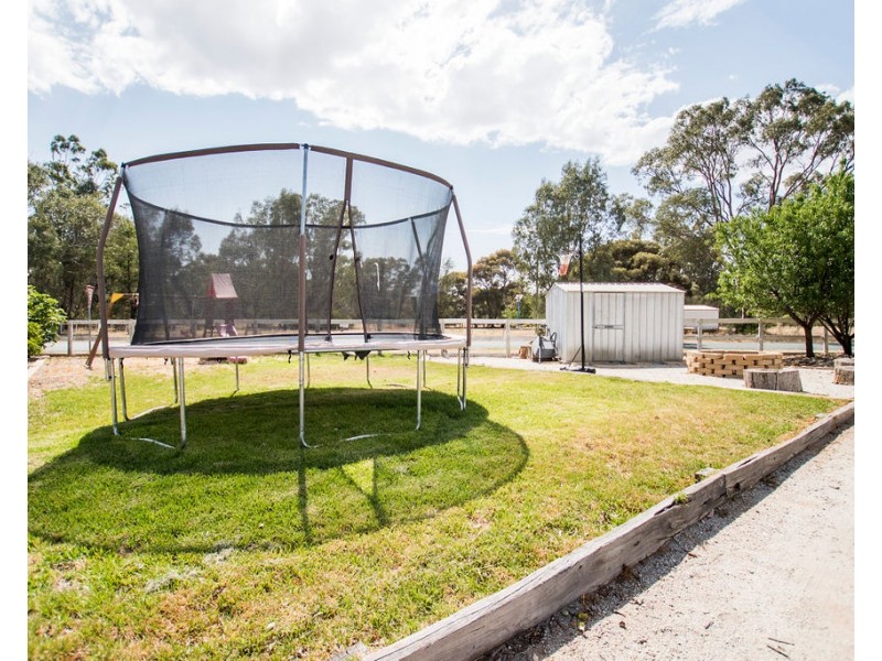 41 Shaw Street, Moama NSW 2731