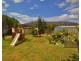 22 Shetland Drive, Moama NSW 2731
