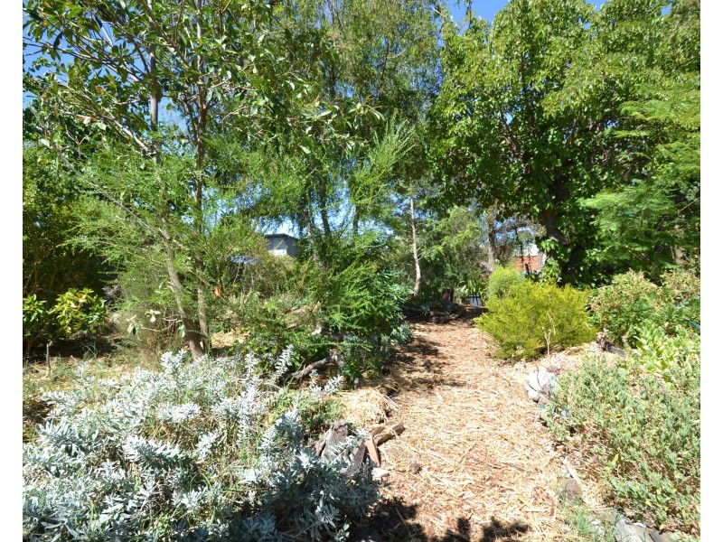 136  Sturt Street, Echuca VIC 3564