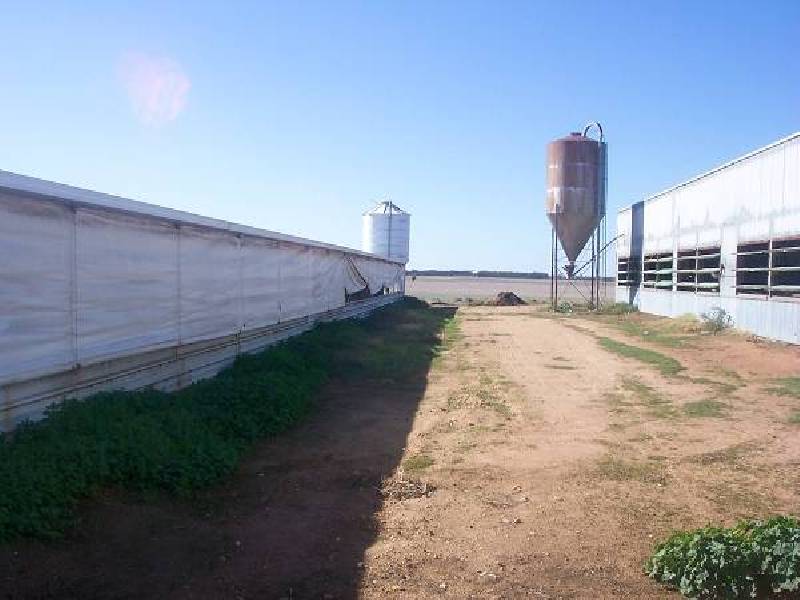 . Meran Road, Quambatook VIC 3540