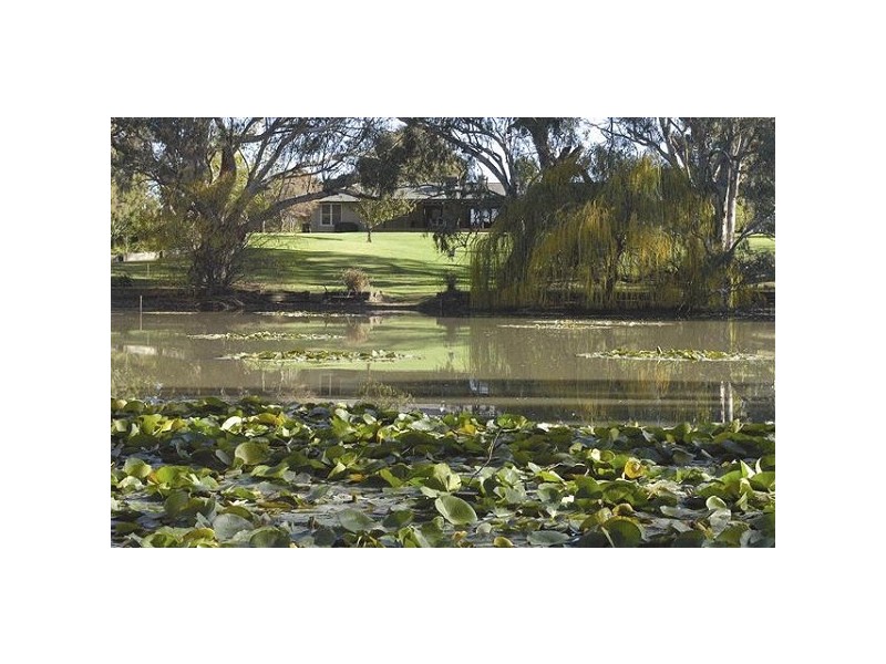 212 Wharparilla Drive, Echuca VIC 3564