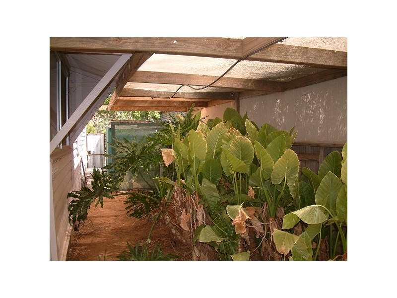 24 Mckenzie Street, Rochester VIC 3561