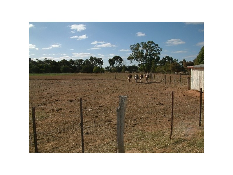 3622 Singer Rd Lockington, Echuca VIC 3564