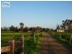 1095 Hansen Rd, Bamawm VIC 3561