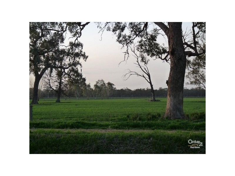 682 Island Road, Gunbower VIC 3566