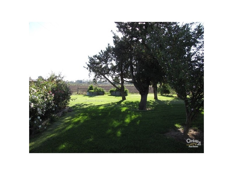 682 Island Road, Gunbower VIC 3566