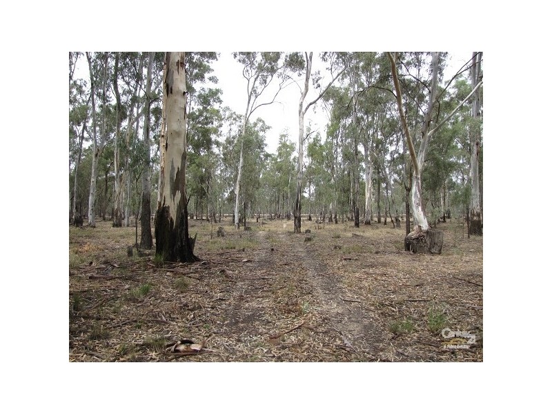 Lot 1 157 Bangarang Road, Echuca VIC 3564