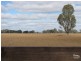 865 Mt Terricks Road, Echuca VIC 3564