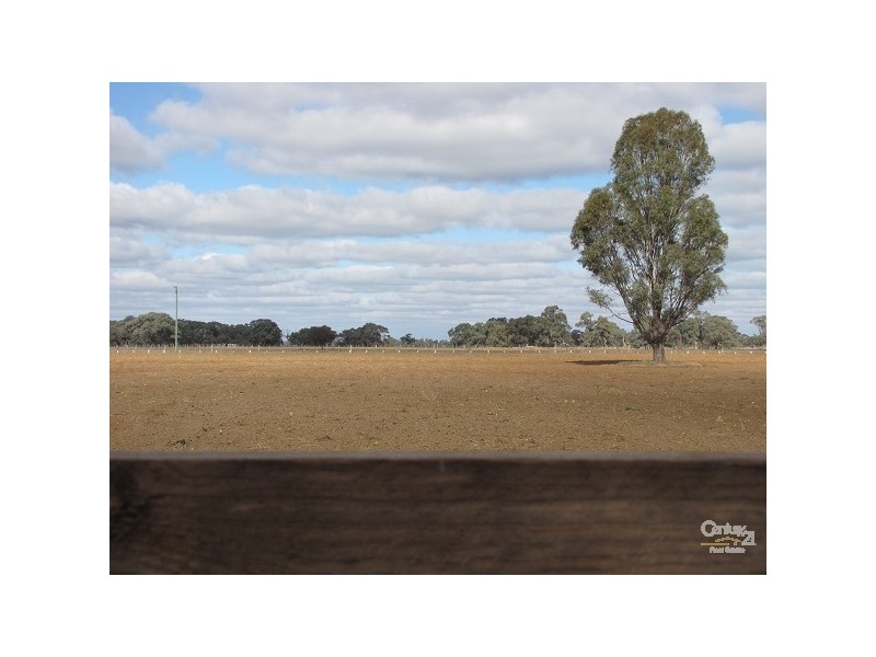 865 Mt Terricks Road, Echuca VIC 3564