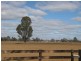 865 Mt Terricks Road, Echuca VIC 3564
