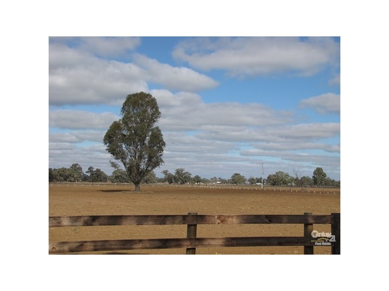 865 Mt Terricks Road, Echuca VIC 3564