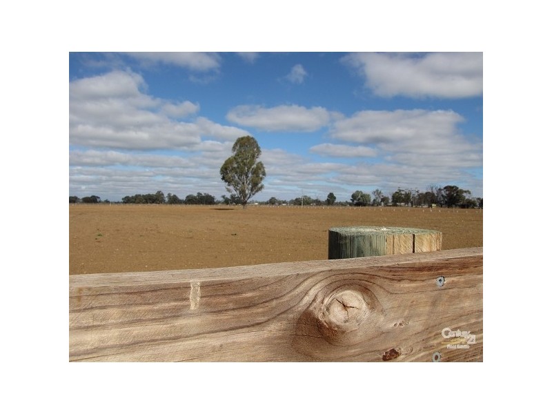 865 Mt Terricks Road, Echuca VIC 3564