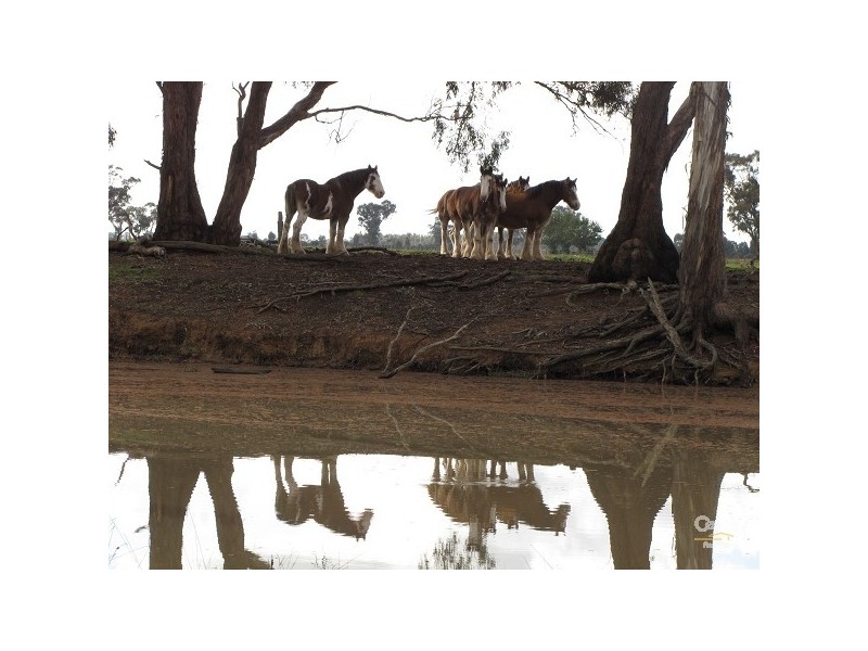 969 Hardings Road, Echuca VIC 3564