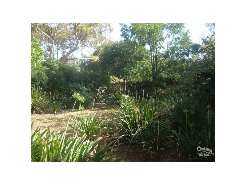 50 Hopwood Street, Echuca VIC 3564