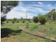 601 Clifton Street, Mathoura NSW 2710
