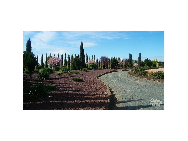 309 Mt Terricks, Echuca VIC 3564