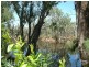 17 – 21 Warren Street, Echuca VIC 3564