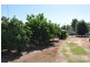 40 Mathoura Street, Mathoura NSW 2710