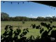 598 Anderson Road, Echuca VIC 3564