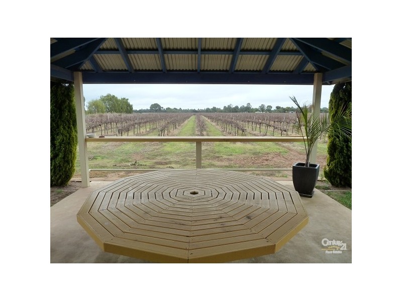 446 Perricoota Road, Moama NSW 2731