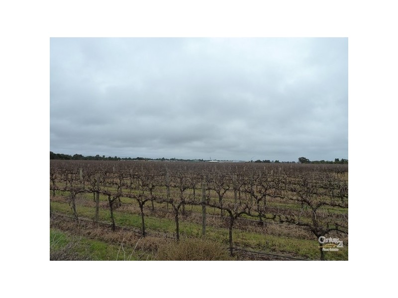 446 Perricoota Road, Moama NSW 2731