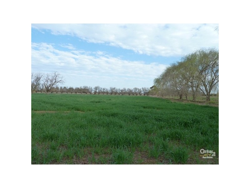 541 Restdown Rd, Echuca VIC 3564