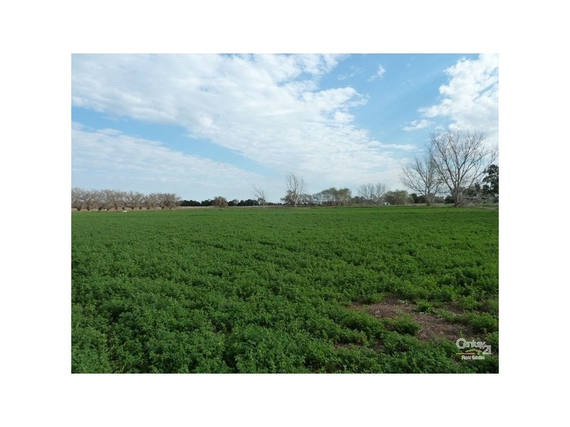 541 Restdown Rd, Rochester VIC 3561