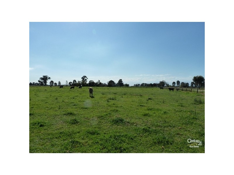 483 Gibson Road, Nanneella VIC 3561