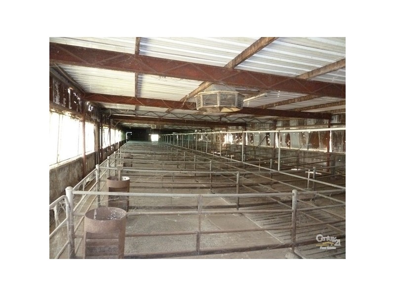 483 Gibson Road, Nanneella VIC 3561