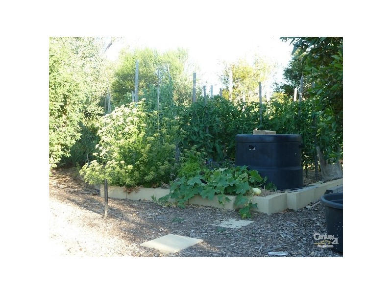 69 Cabernet Drive, Moama NSW 2731