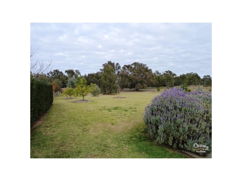 43 Chelsworth Drive, Echuca VIC 3564