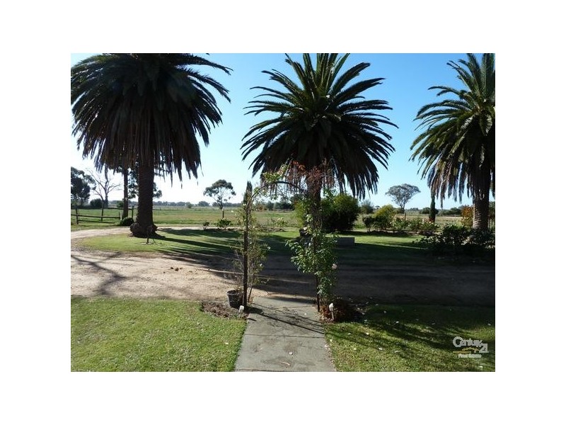 915 Lowe Road, Echuca VIC 3564