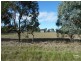 Lot 50 Murray Drive, Echuca VIC 3564