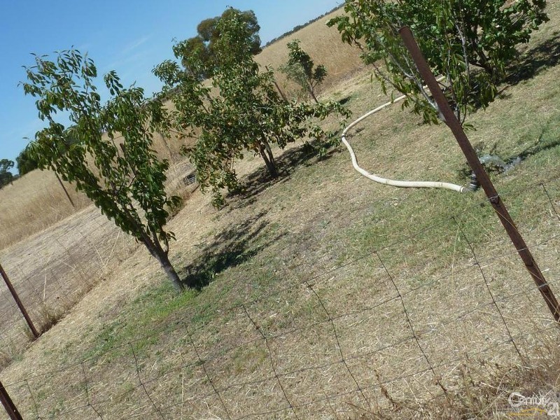 2222 Whinfield Rd, Echuca VIC 3564