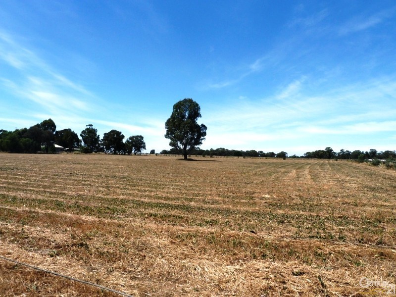 865 Mt Terricks Rd, Echuca VIC 3564