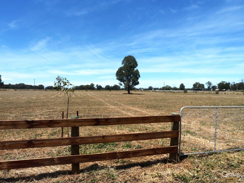 865 Mt Terricks Rd, Echuca VIC 3564