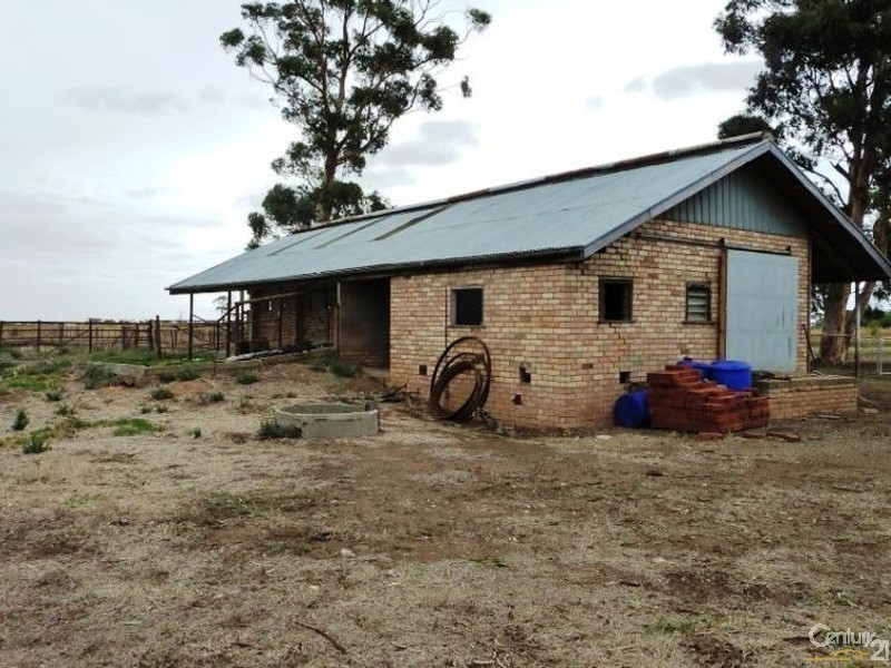 992 Wharparilla Road, Echuca VIC 3564